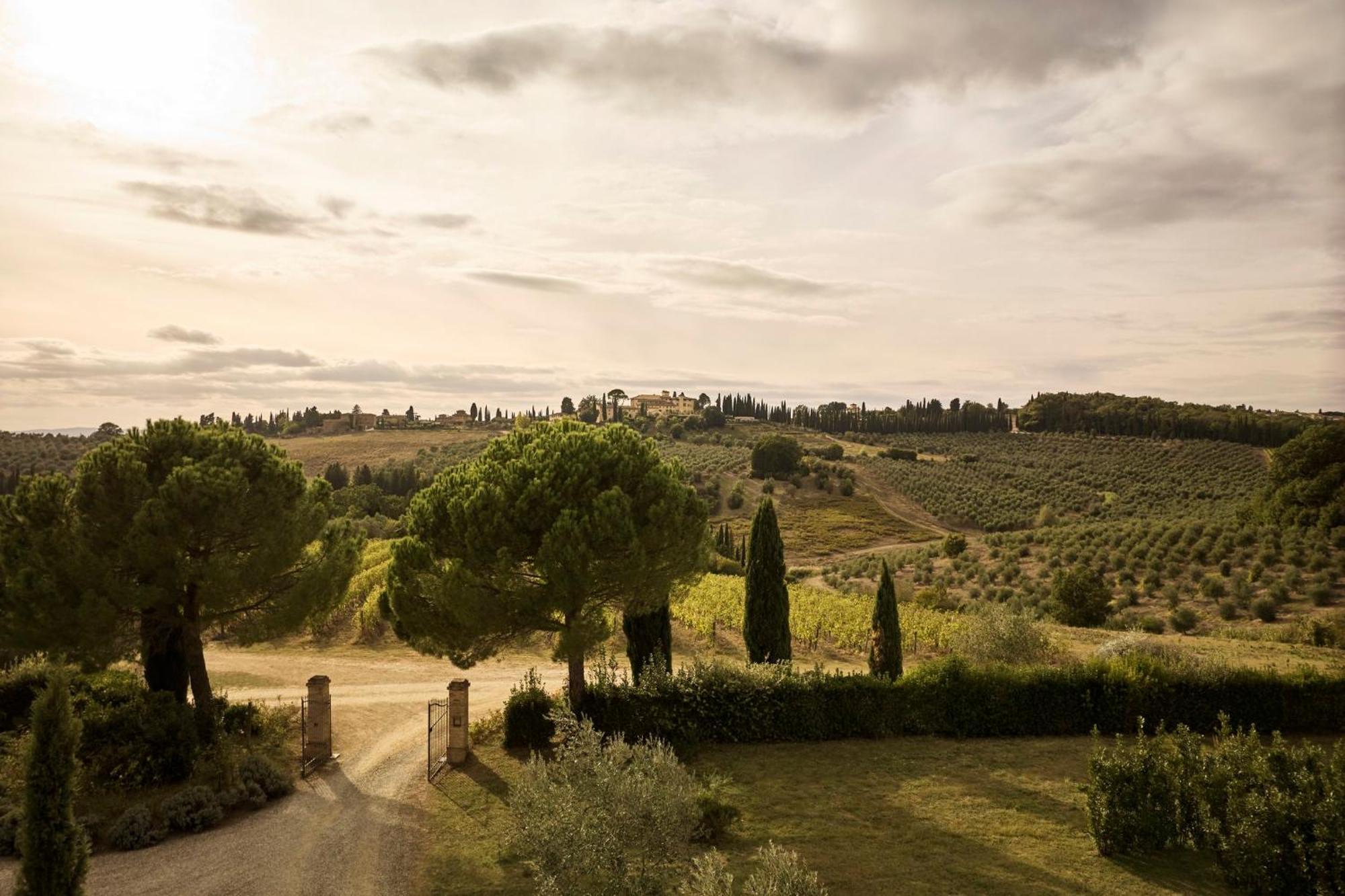 Castello Del Nero - Podere San Filippo Tavarnelle Val di Pesa Bagian luar foto